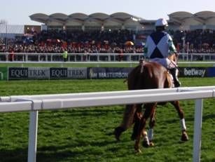 Race 4 j Top Gamble.jpg