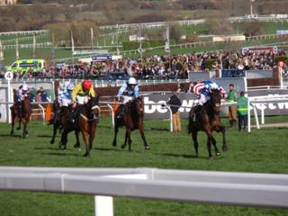 Race 4 r on the run-in.jpg