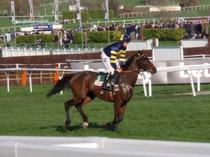 Race 5 b Ballyboker Bridge.jpg