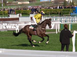 Race 5 d Usuel Smurfer.jpg