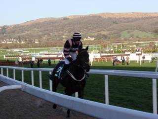 Race 6 b Percy Street.jpg