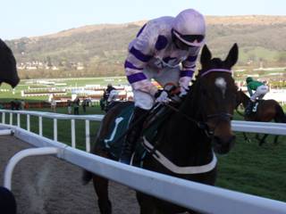 Race 6 f Divin Bere.jpg