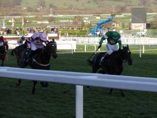 Race 6 m fighting out the finish.jpg
