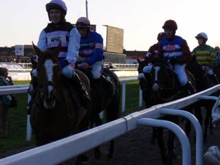 Race 6 q.jpg