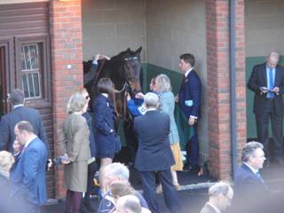 Race 7 a Perfect Harmony.jpg