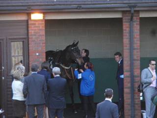 Race 7 b Perfect Harmony.jpg