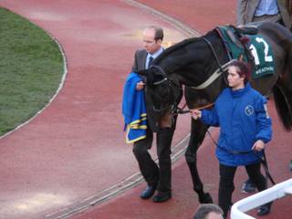 Race 7 d Perfect Harmony.jpg