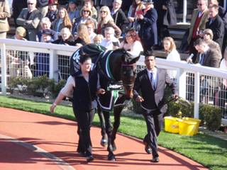 Sprinter Sacre 1.jpg