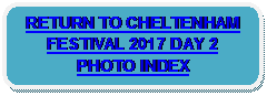 Rounded Rectangle: RETURN TO CHELTENHAM FESTIVAL 2017 DAY 2 PHOTO INDEX