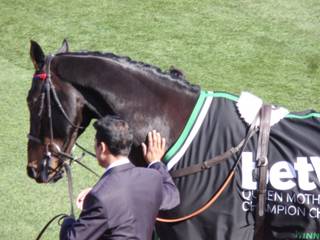 Sprinter Sacre 11.jpg