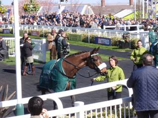 hedgehunter 2.jpg