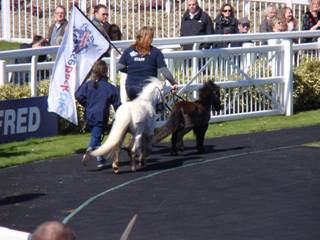 Horseback Uk.jpg