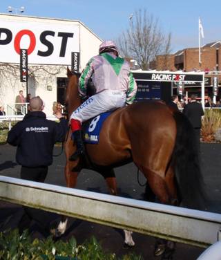 Kempton 21 Feb red A.jpg