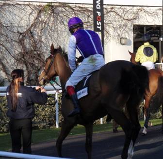 Kempton 21 Feb red s.jpg
