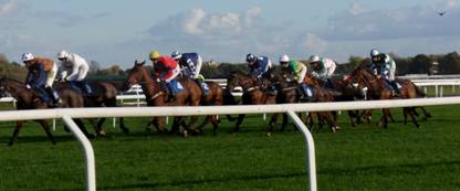 Kempton 02 Nov 09 j r.jpg