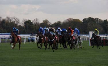 race 4 f.jpg