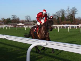 Race 1 a Ballyhill.jpg