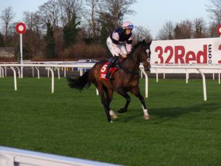 Race 2 d Max Ward.jpg
