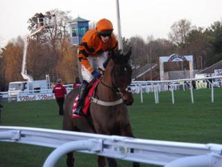 Race 5 f Thistlecrack.jpg