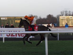 Race 5 g Thistlecrack.jpg