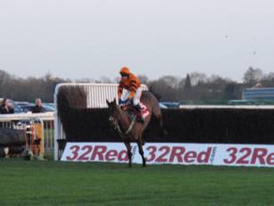 Race 5 m Thistlecrack over the last.jpg