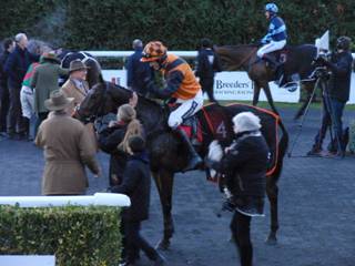 Race 6 f Doesyourdogbite.jpg