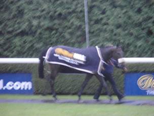 race 5 f r.jpg