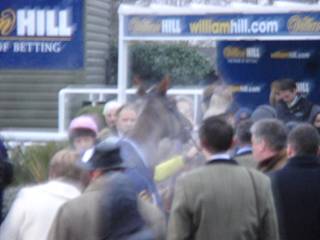 race 5 f.jpg