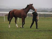 Jacko's Boy r.jpg