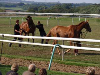 Brimham Boy & Midnight Thomas.jpg