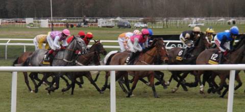 Newbury 13 Feb 10 h r.jpg