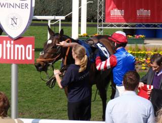 Newbury race 1 Songsmith r.jpg