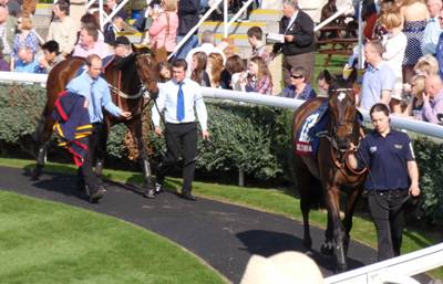 Newbury race 3 1 r.jpg