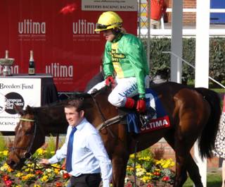 Newbury race 3 9 r.jpg