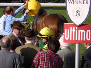Newbury race 3 b r.jpg