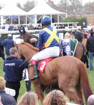 Newbury 28 Feb 09 red h.jpg