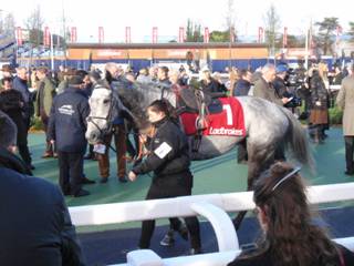1 Air Horse One 1.jpg