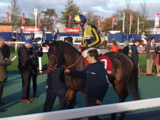7 Who's My Jockey 2.jpg