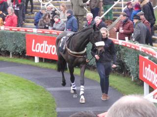 Race 1 e Dame Rose.jpg