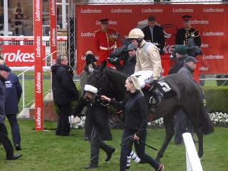 Race 1 l Dame Rose winner.jpg