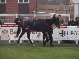 Race 2 a Black Corton.jpg