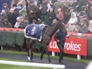 Race 2 c Fountains Windfall.jpg
