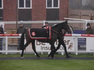 Race 2 d Sir Ivan.jpg