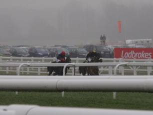 Race 2 f the finish.jpg
