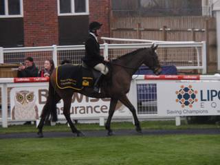 Race 3 a Bobs Worth.jpg