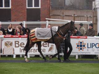 Race 3 f Different Gravey.jpg