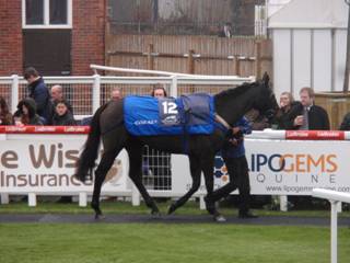 Race 3 m Gentleman Jon.jpg
