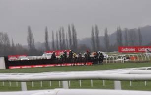Race 3 in running 1.jpg