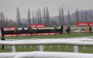 Race 3 in running 3.jpg