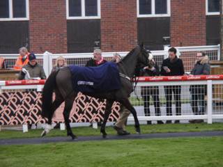 Race 4 a Court Minstrel.jpg